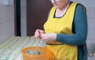 Wrzesień, pażdziernik 2012 134.jpg